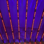 bilabao_guggenheim_8335